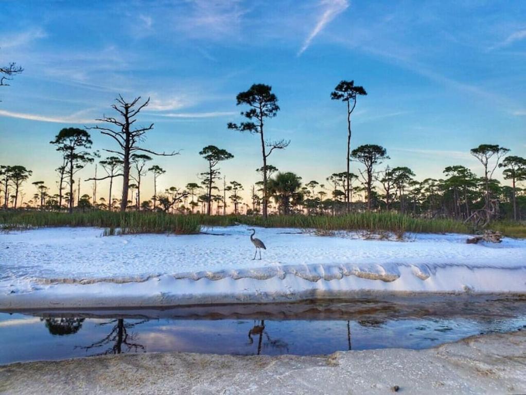 Tortuga Tillys Cape San Blas Exterior foto